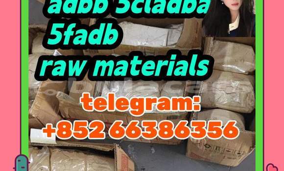 Medium with watermark 5