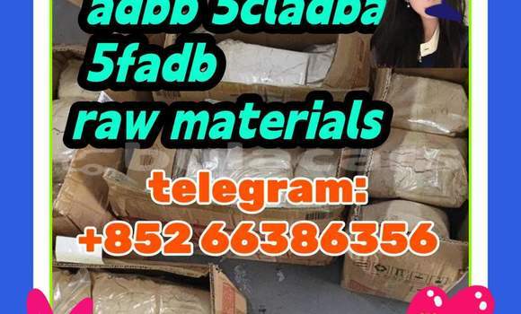 Medium with watermark 10