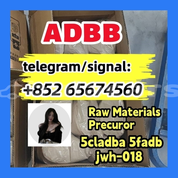 Big with watermark photo 2026 03 04 10 21fdbfgb 30 %e5%89%af%e6%9c%ac