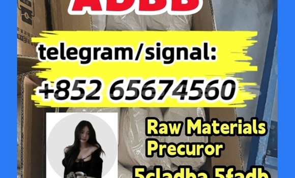 Medium with watermark photo 2026 03 04 10 21fdbfgb 30 %e5%89%af%e6%9c%ac