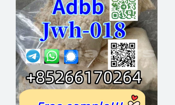 Buy New Alpine A610 White Car in Lautoka in Western