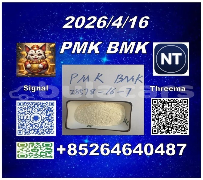 Big with watermark 11