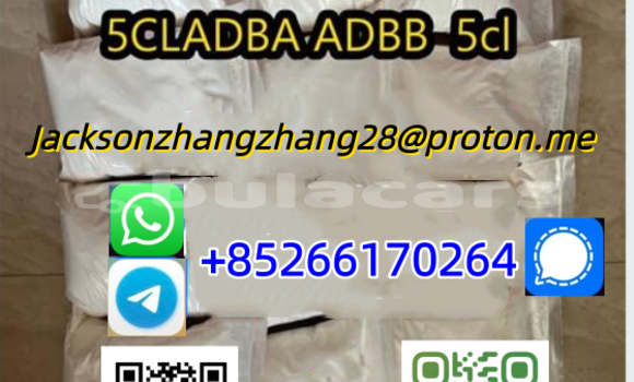 Buy New Bristol Blenheim Speedster White Car in Sigatoka in Western Buy New Bristol Blenheim Speedster White Car in Sigatoka in Western