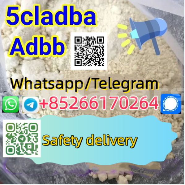 Big with watermark bristol blenheim speedster western sigatoka 14342