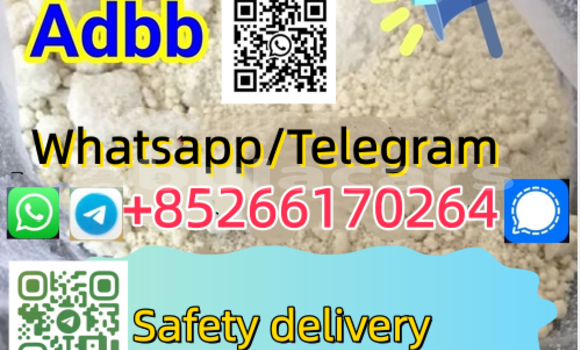 Buy New Bristol Blenheim Speedster White Car in Sigatoka in Western Buy New Bristol Blenheim Speedster White Car in Sigatoka in Western