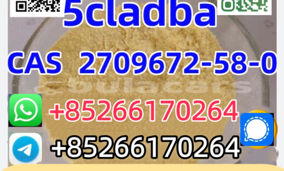 Buy New Bolwell Nagari White Car in Namalata in Northern