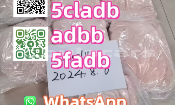 Buy Used Alpine A610 White Car in Nausori in Central