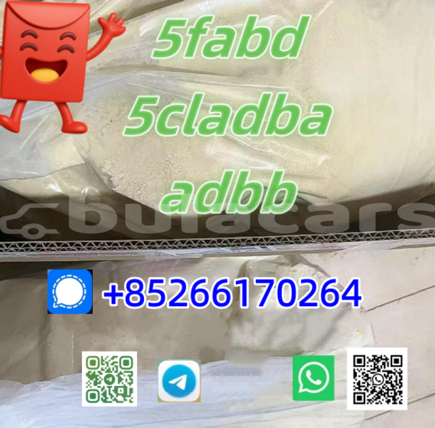 Big with watermark alpina b4 central korovou 14351