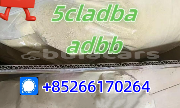 Acheter Neuf Voiture Alpina B4 Blanc à Korovou, Central