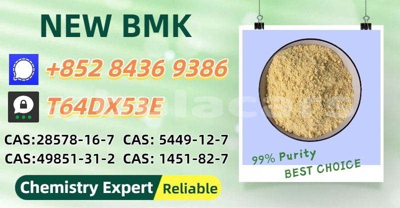 Big with watermark bedford cfs northern korokade 14388