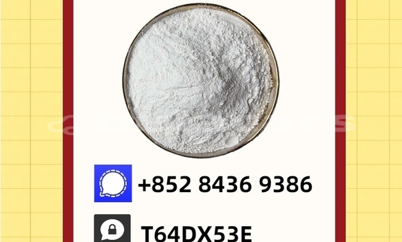 Acheter Occasion Voiture Bolwell Nagari Noir à Rakiraki, Western