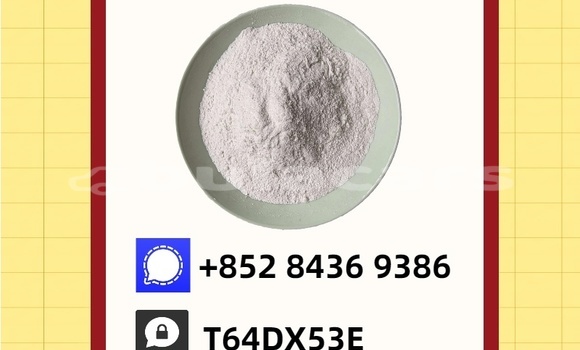 Buy Used Bertone Freeclimber Brown Car in Namosi in Central