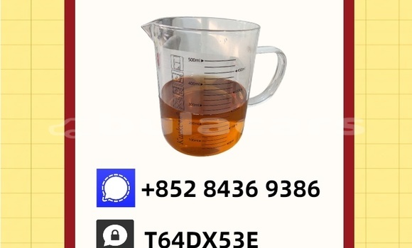 Buy Used DS 5 Green Car in Sanasana in Western