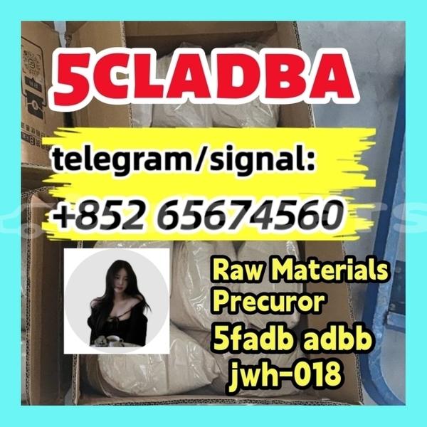 Big with watermark photo 2026 03 04 10 21 30 %e5%89%af%e6%9c%ac