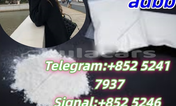 Acheter Neuf Voiture AC Ace Noir à Barotu, Western