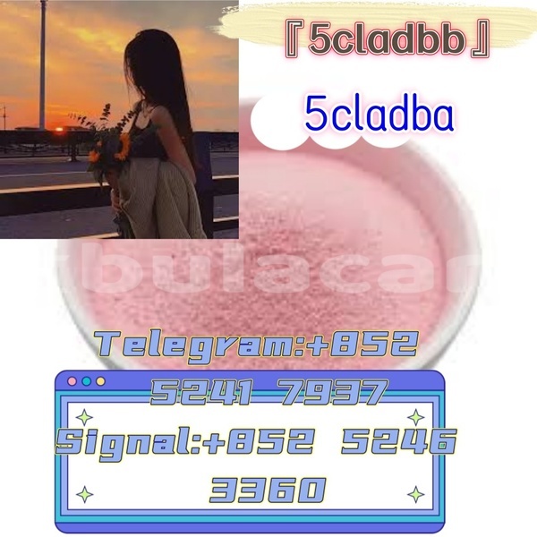 Big with watermark adler 1902 western ba 14423