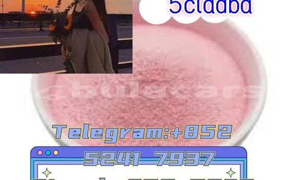 Buy New Adler 1902 Black Bike in Ba in Western