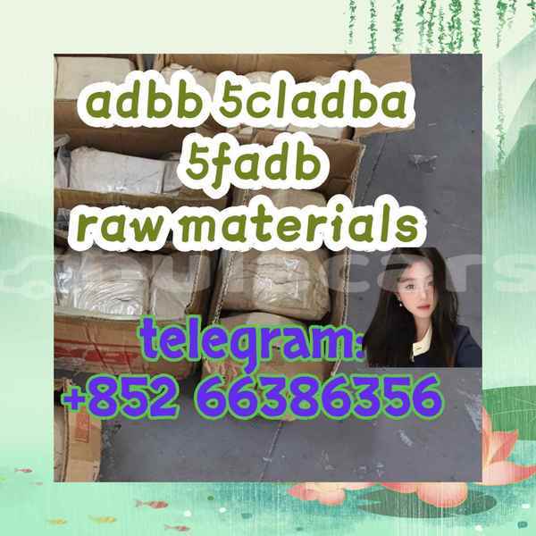 Big with watermark 1