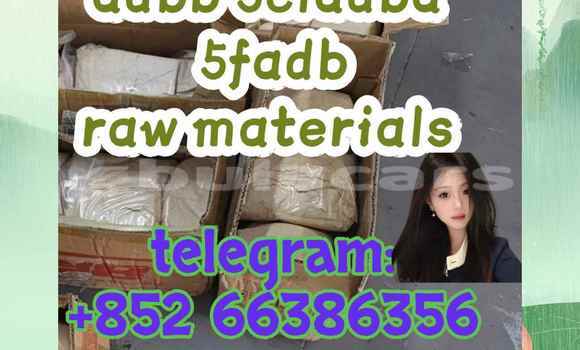 Medium with watermark 1