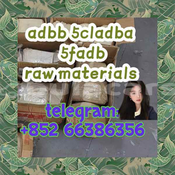 Big with watermark 6