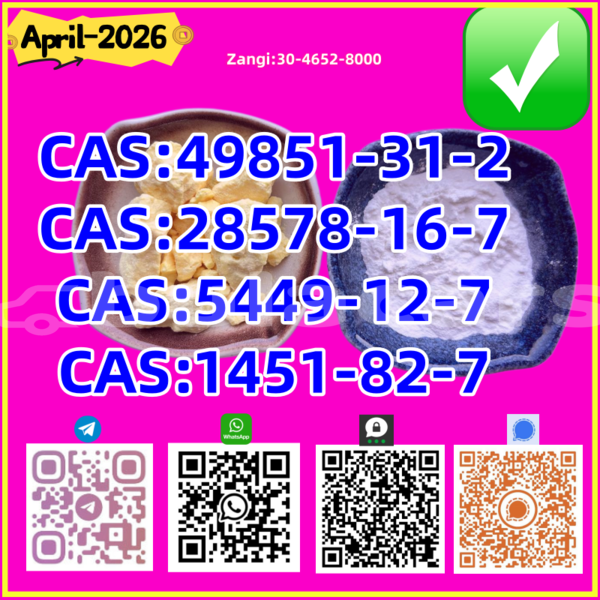 Big with watermark adler trumpf junior western barotu 14468