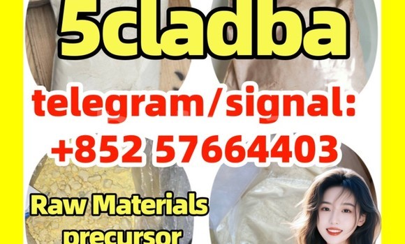 Medium with watermark 5cc2