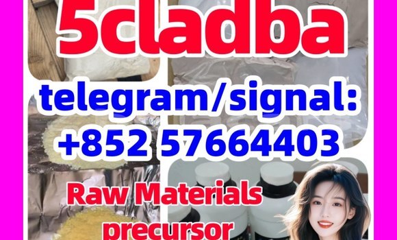 Buy cannabis 5cladba powder in Korokade in Northern Buy cannabis 5cladba powder in Korokade in Northern