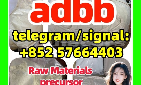 Medium with watermark 552