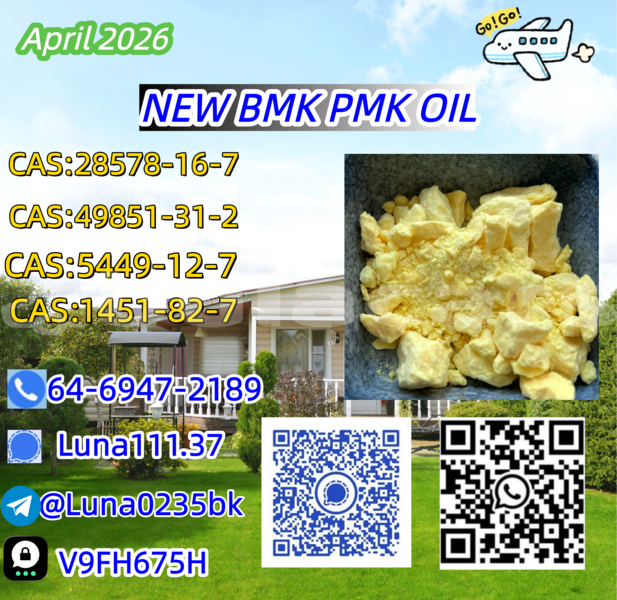 Big with watermark adler diplomat western barotu 14494