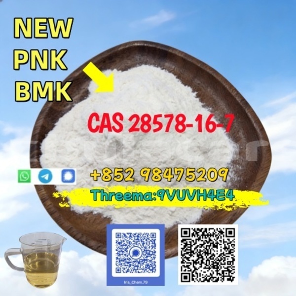 Big with watermark alta motors redshift sm central deuba 14496