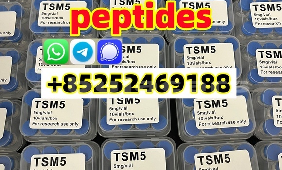 Medium with watermark 46fb9da0 7922 430c a7e2 4de3a6e40c54 %e5%89%af%e6%9c%ac %e5%89%af%e6%9c%ac