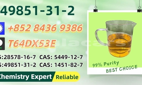 Acheter Occasion Voiture Chana Benni Marron à Nasasa, Northern