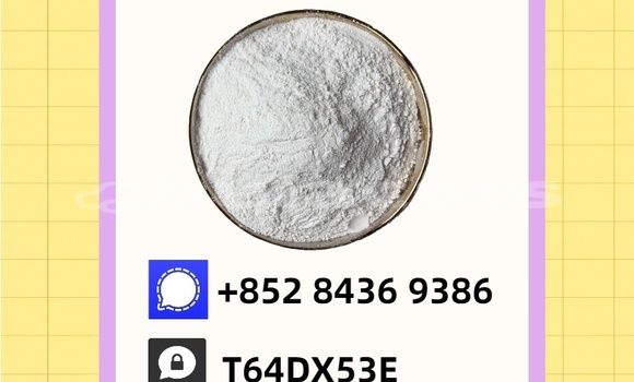 Buy Used GMC Safari Black Car in Nausori in Central