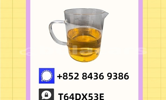 Buy Used Donkervoort D8 GTO Blue Car in Nasasa in Northern