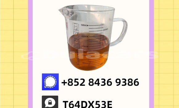 Buy Used Daihatsu Be-go Blue Car in Nakodu in Eastern