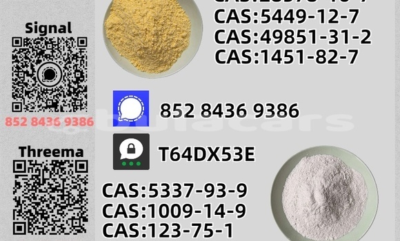 Acheter Occasion Voiture Daimler X300 Marron à Nasasa, Northern