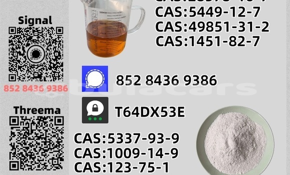 Buy Used CHTC PICK UP Brown Car in Nasasa in Northern