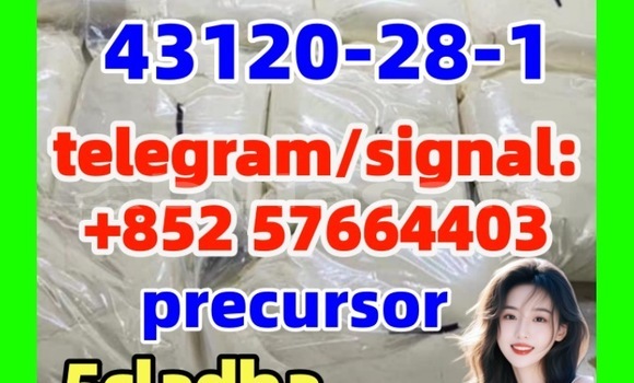 Medium with watermark 43120