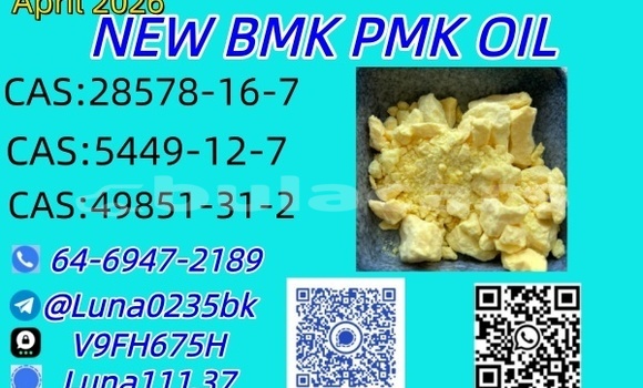 Buy Used Abarth 500 Black Car in Barotu in Western