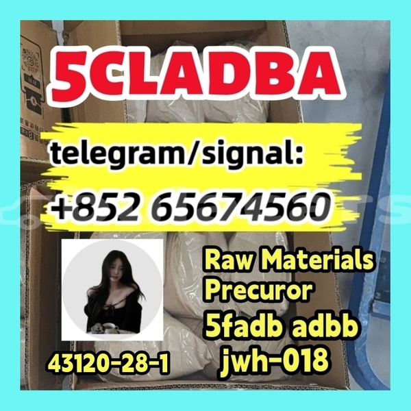 Big with watermark photo 2026 03 04 10 21 30 %e5%89%af%e6%9c%ac