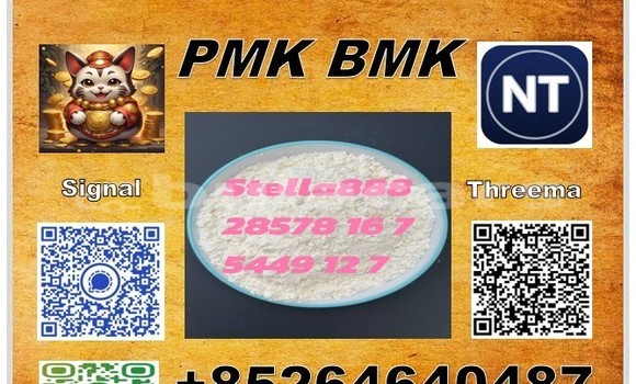 Medium with watermark 113