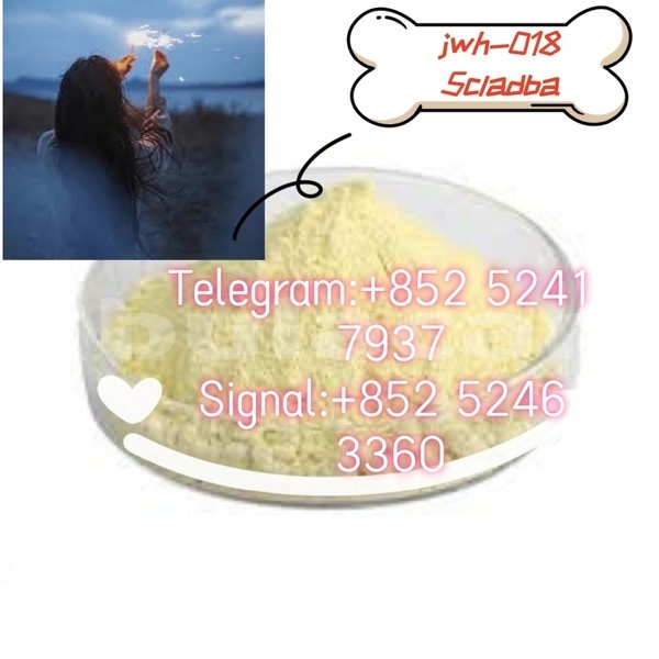 Big with watermark adler favorit western barotu 14611