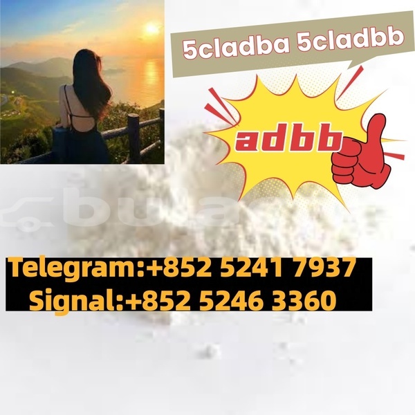 Big with watermark adler 1902 western barotu 14613