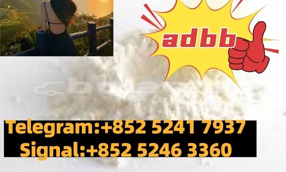 Buy Used Adler 1902 Beige Bike in Barotu in Western