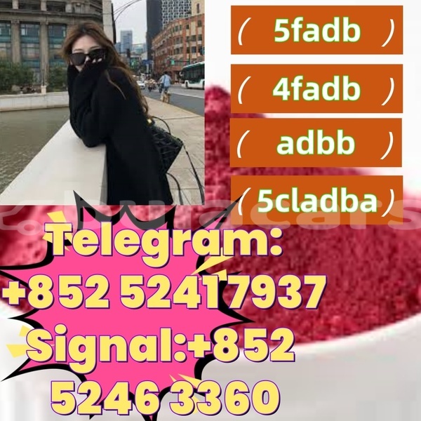 Big with watermark adler 1902 western ba 14614