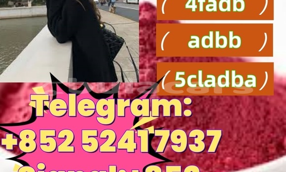 Buy Used Adler 1902 Beige Bike in Ba in Western