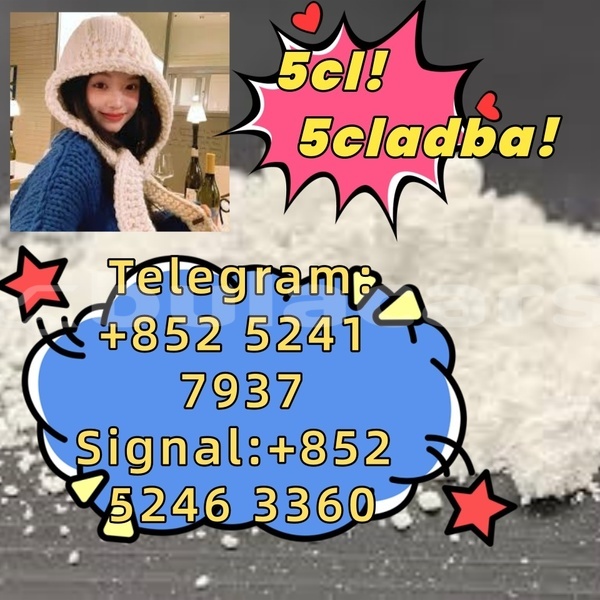 Big with watermark adler 1902 western ba 14616