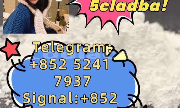 Buy Used Adler 1902 Beige Bike in Ba in Western