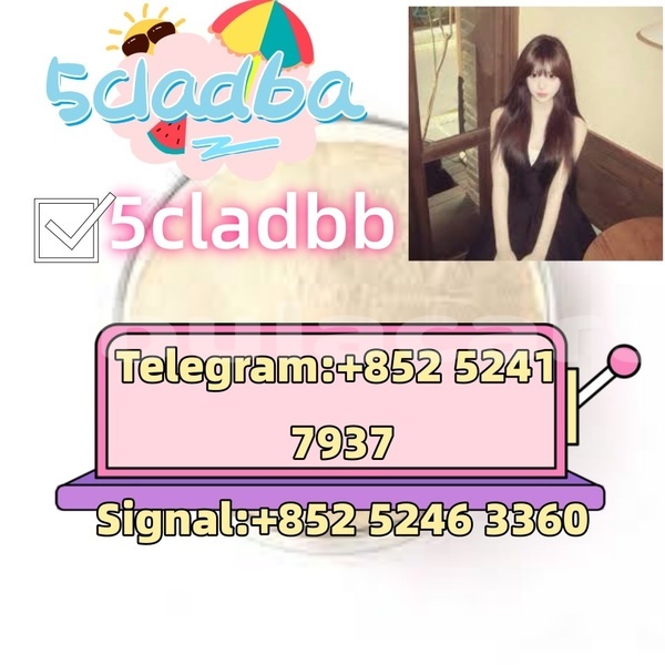 Big with watermark adler 1902 western ba 14617