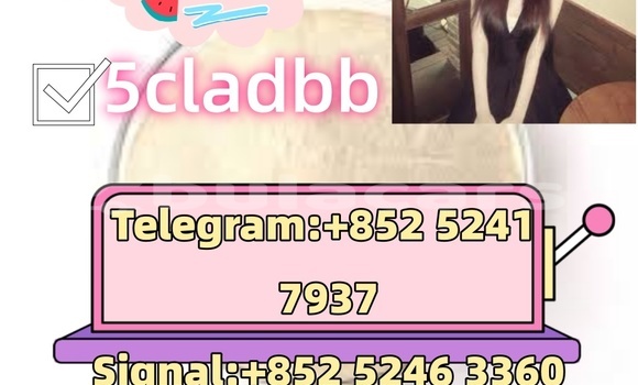 Buy Used Adler 1902 Beige Bike in Ba in Western